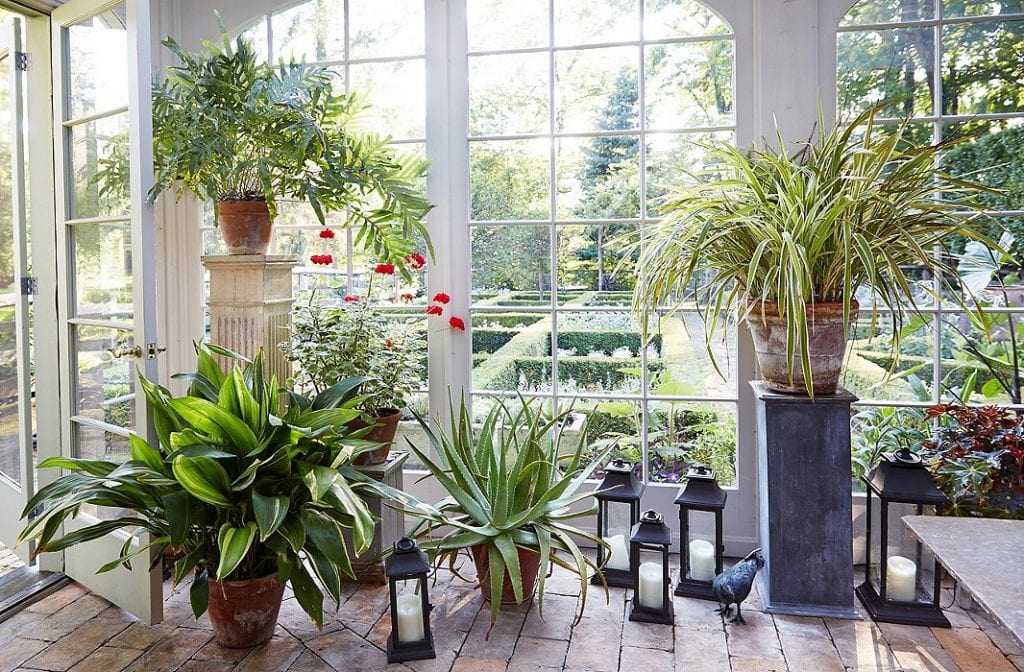 How to use plant stands to decorate