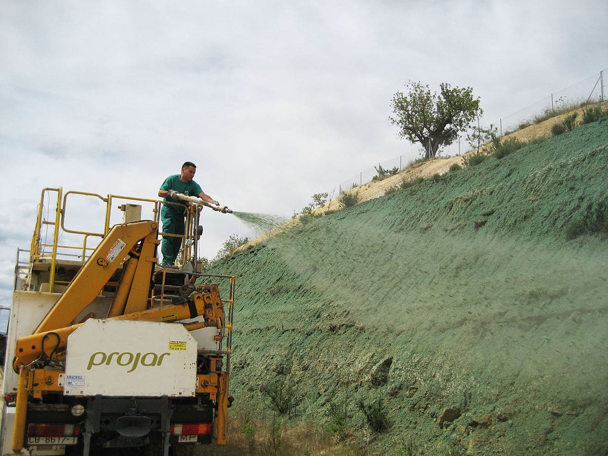 Hydroseeding: what it is, what it consists of and advantages