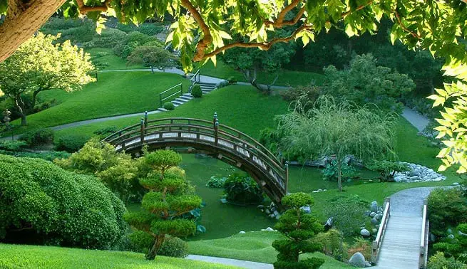 Learn how to design a Japanese garden