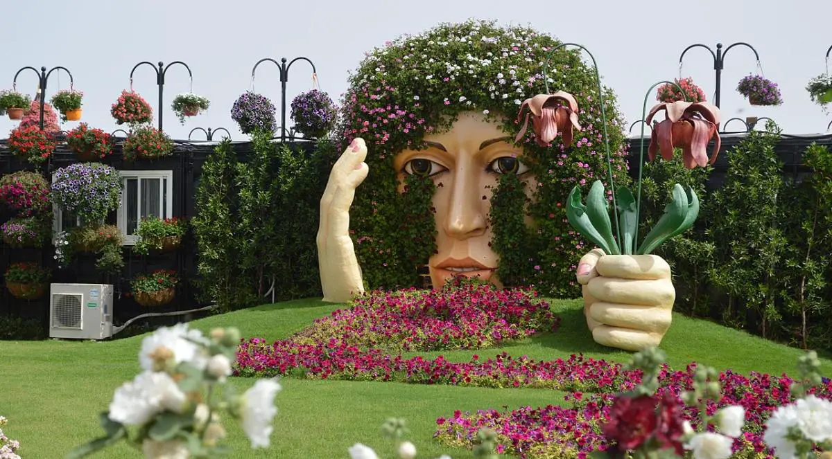 Miracle Garden in Dubai: History, Collections and More
