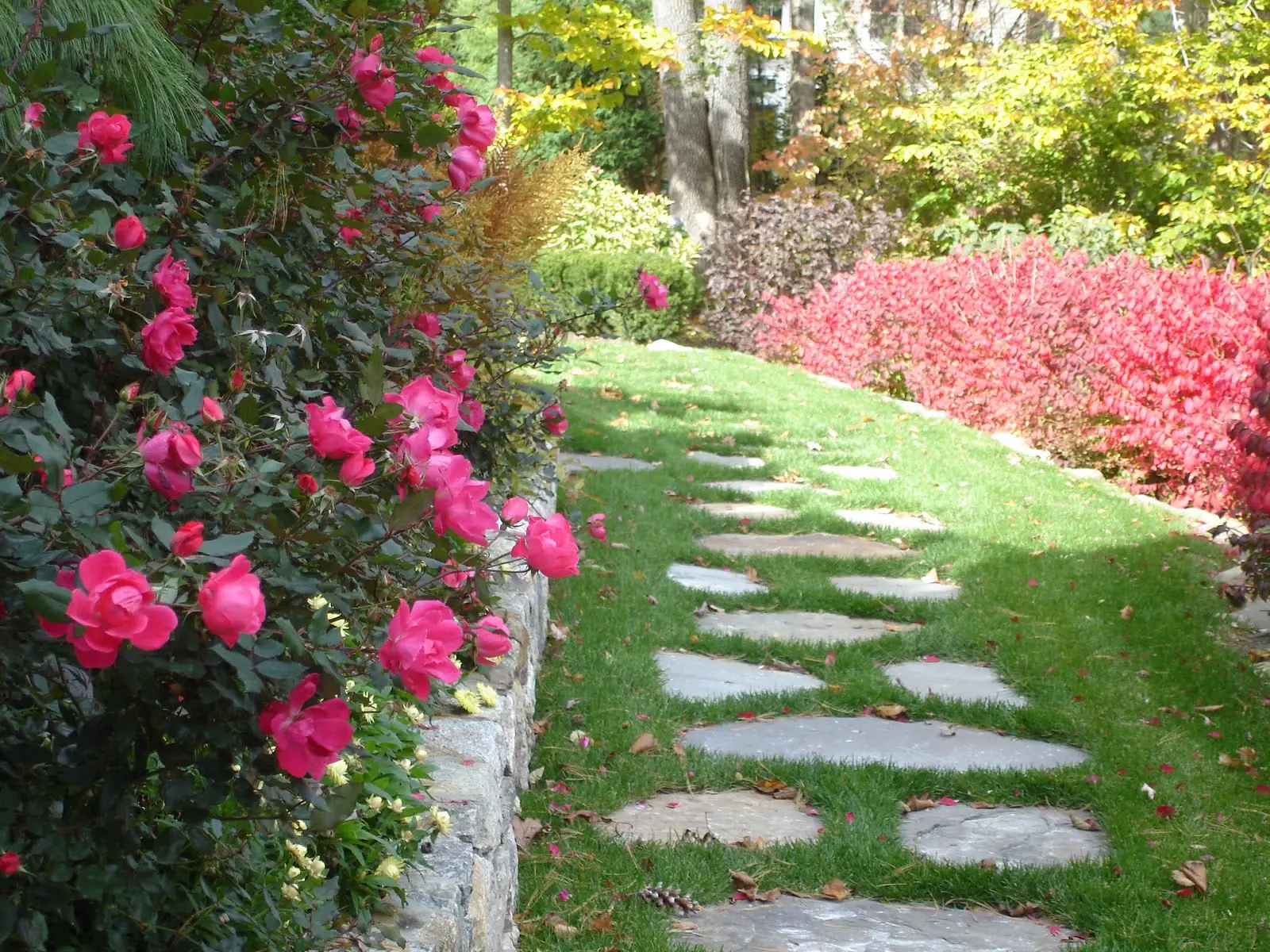 Paths and paths for gardens