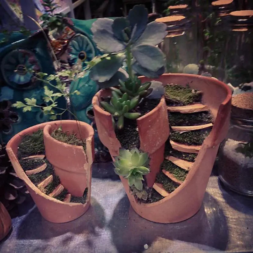 Reuse your broken flower pots by creating a fairy garden