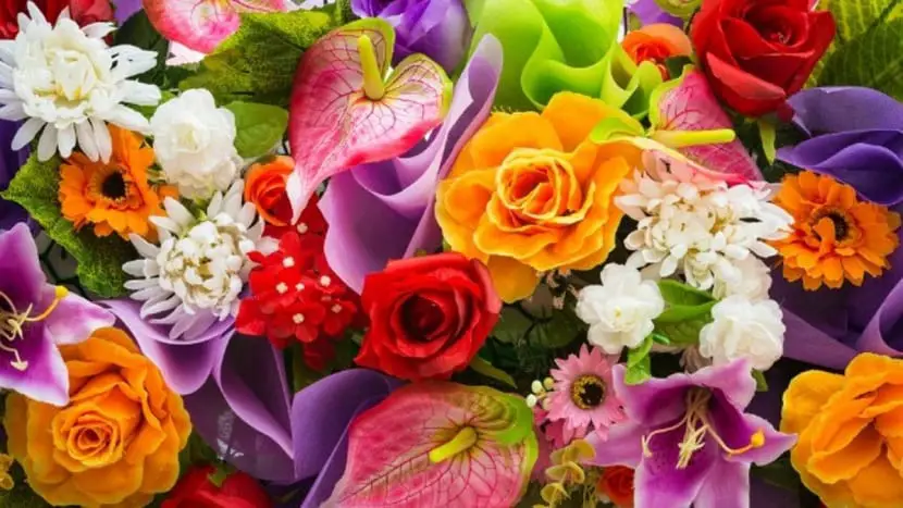 Selection of beautiful flowers to decorate and make your home more beautiful