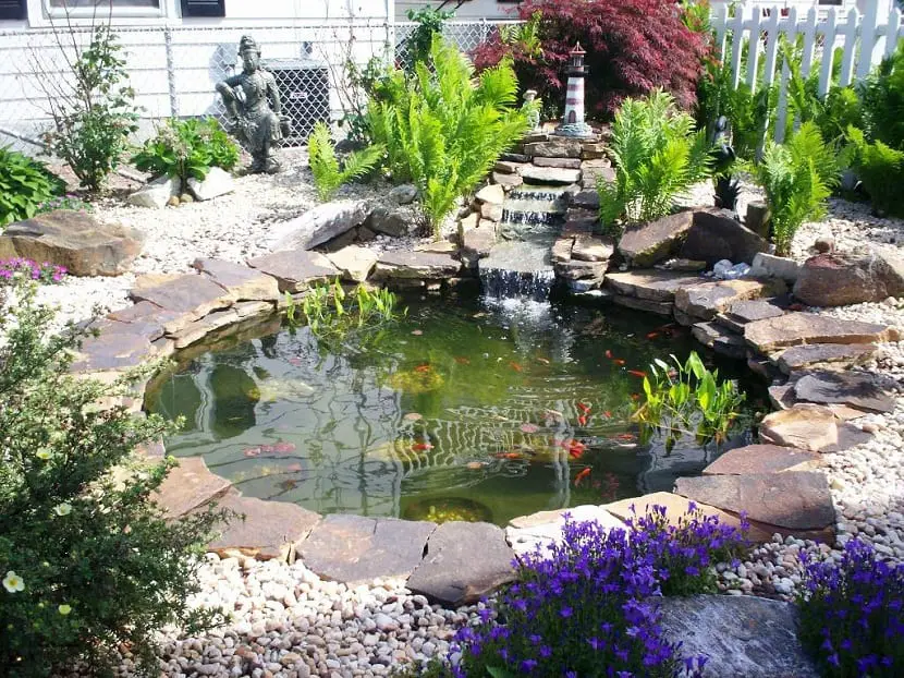 Steps to follow to build garden ponds