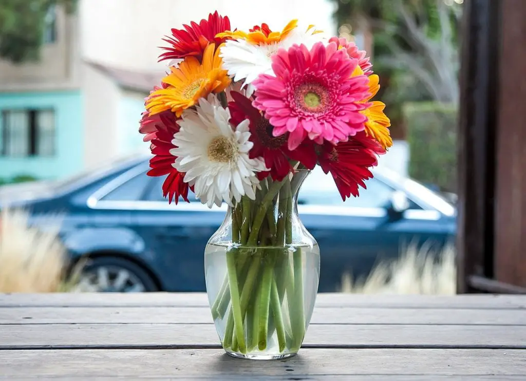 Tips for giving flowers to a friend