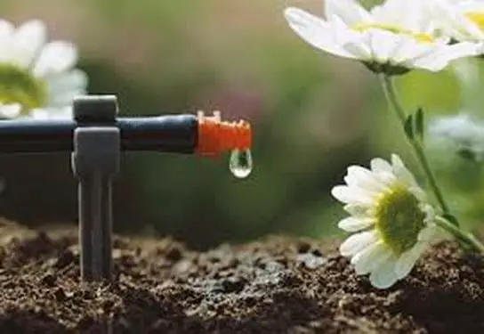 Tips to improve garden drainage