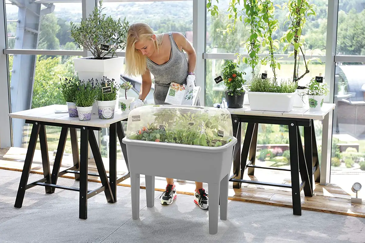 Urban garden: The best models, buying guide and where to buy it