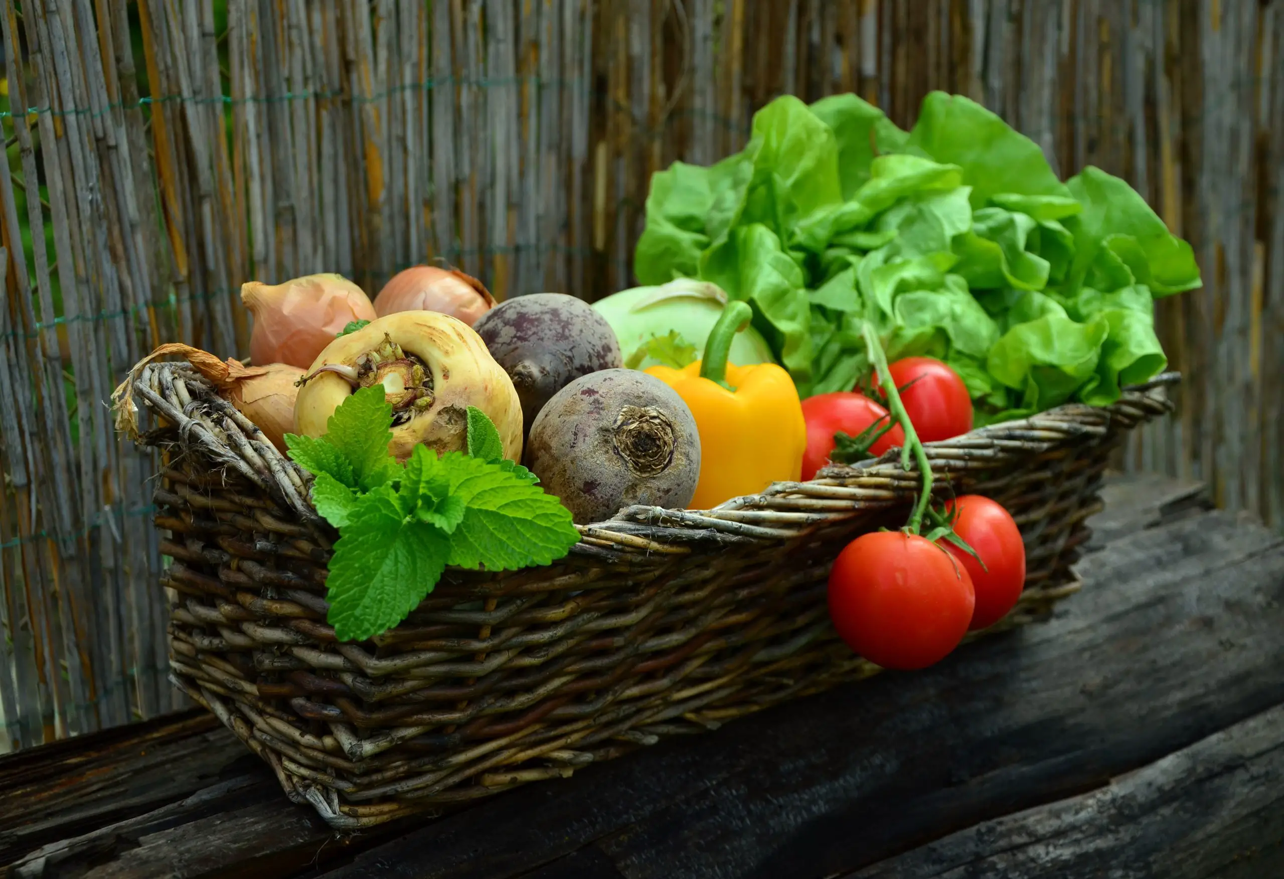 What are the fruits and vegetables in season?