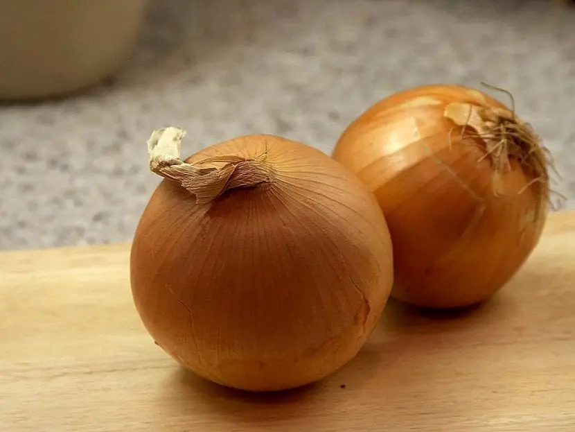 What is the slimy onion like and how is it grown?