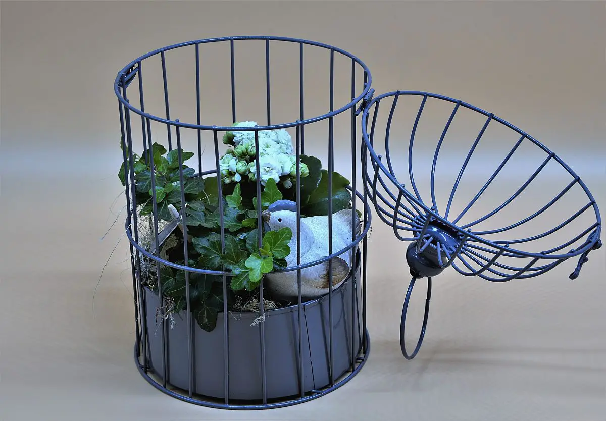 How to decorate cages with plants