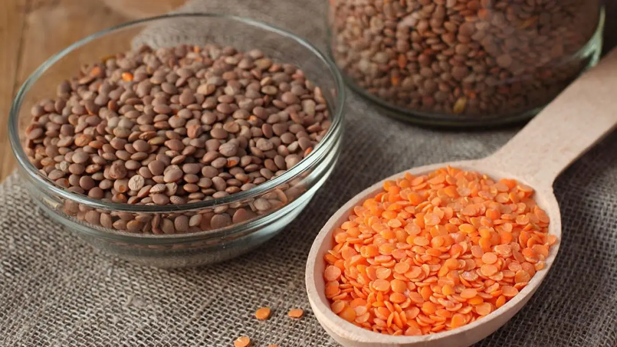 All the types of lentils that exist