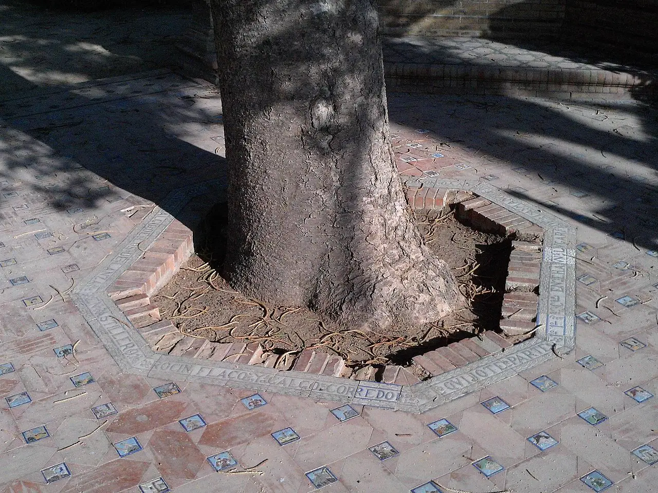 What is a tree grate?