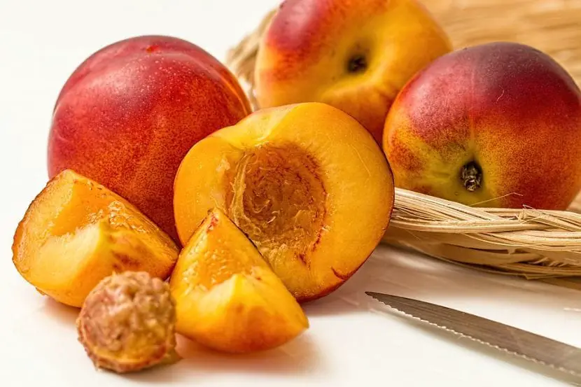 Nectarine: characteristics and care to enjoy its flavor