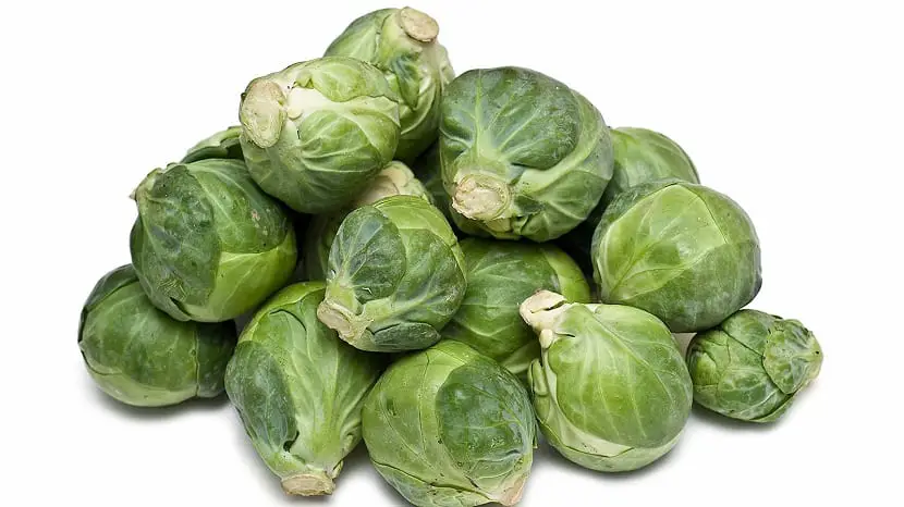 Brussels sprouts: Characteristics, care, origin, cultivation and benefits