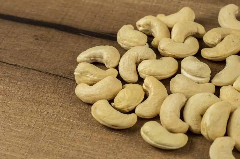 Cultivation, properties and everything you need to know about cashews