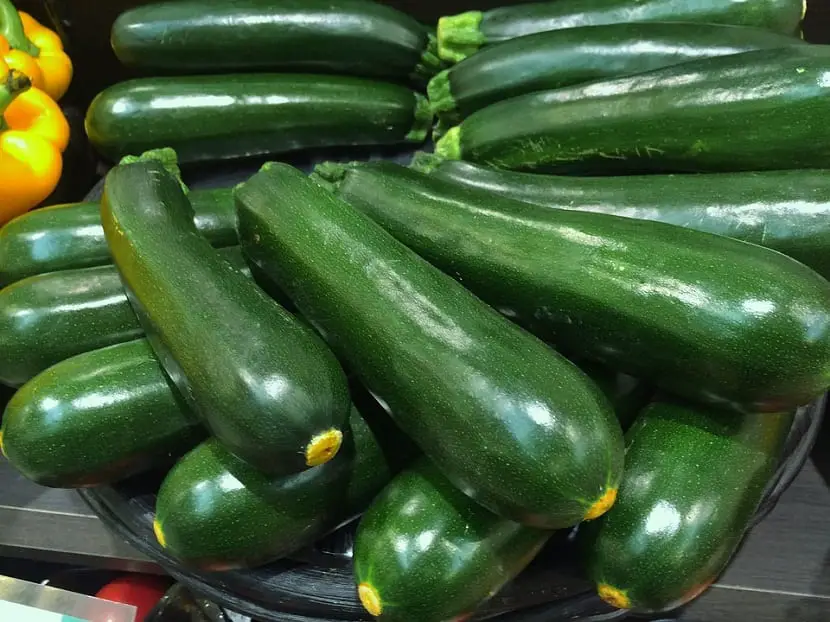 Most common diseases and pests of zucchini cultivation