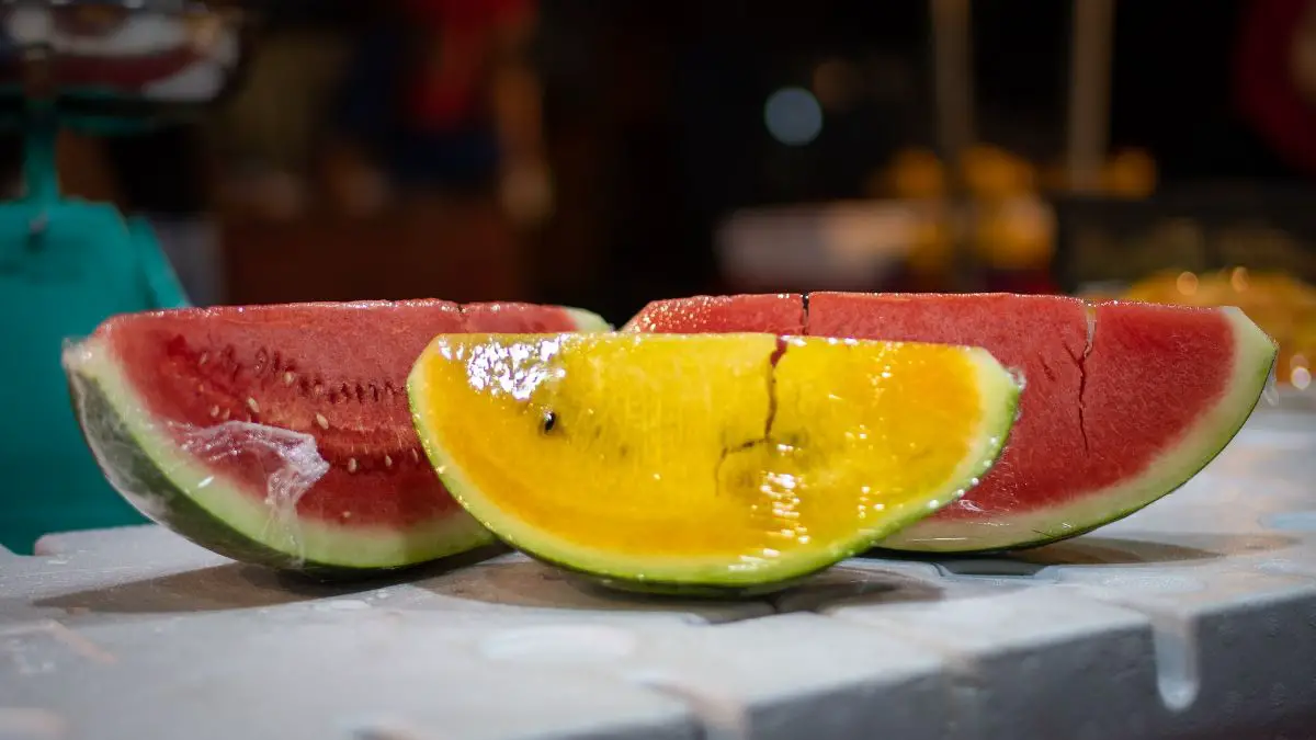 Yellow watermelon: characteristics, properties and price