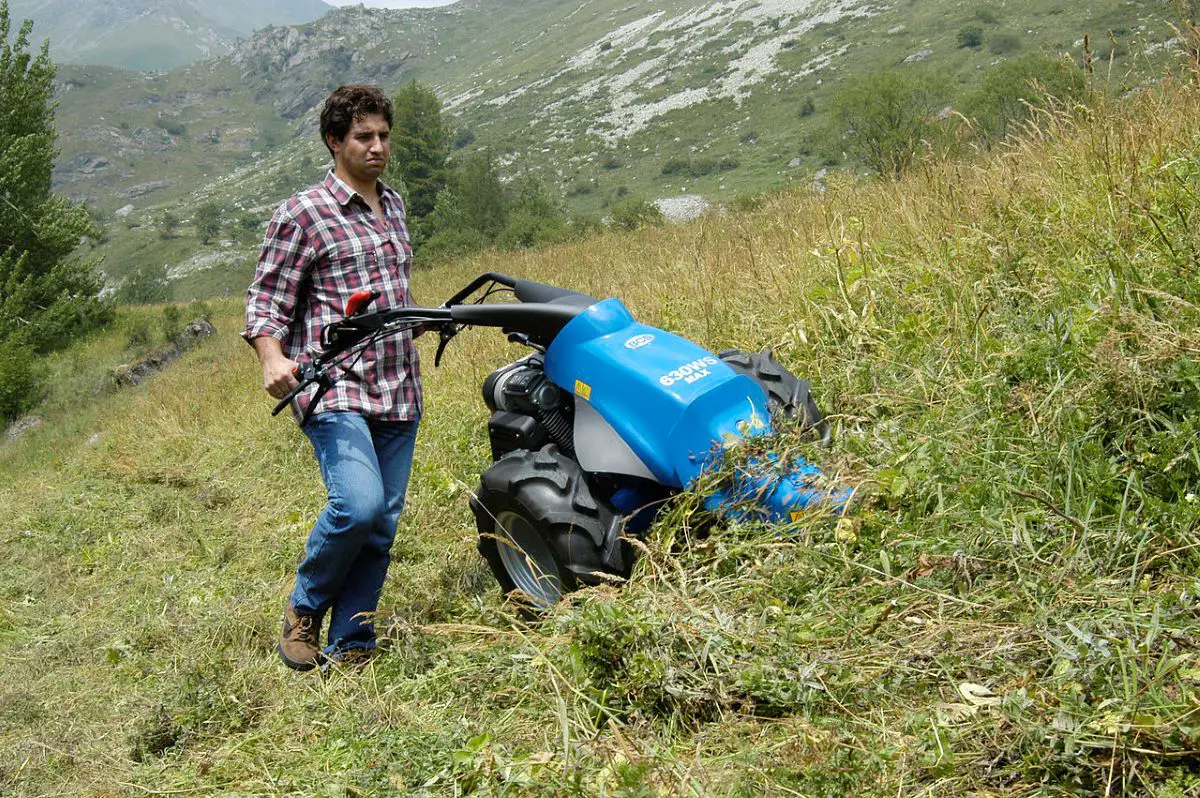 Mower: The best, buying guide, and where to buy it