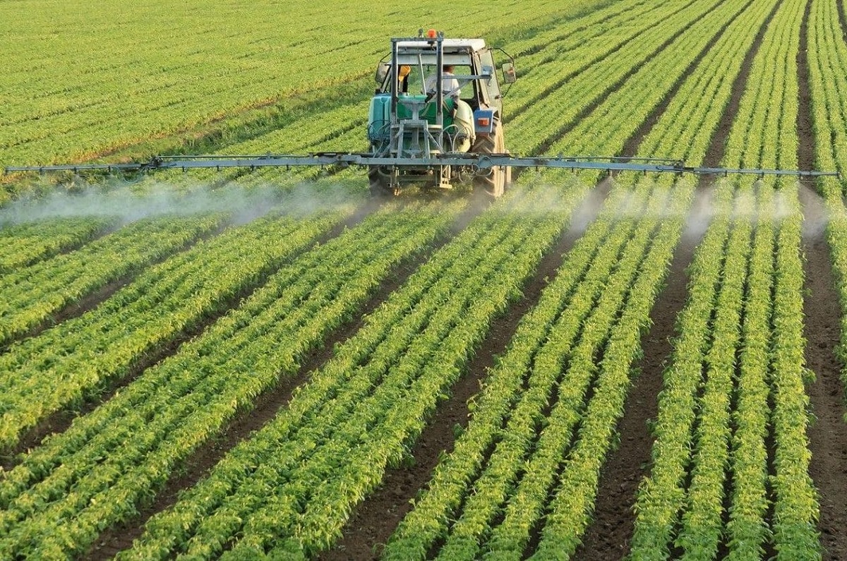 Irrigated agriculture: characteristics, benefits and disadvantages