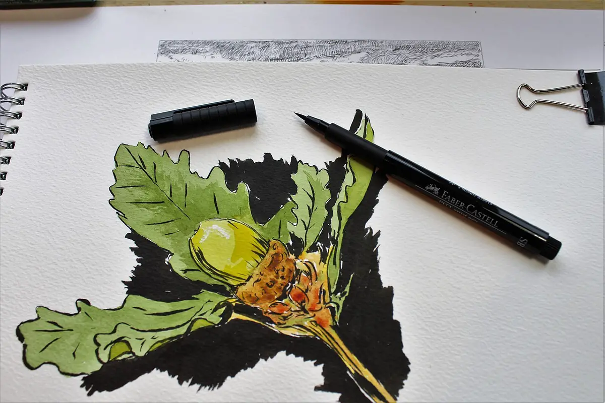 Botanical illustration: What it is, its importance and the difference with other arts