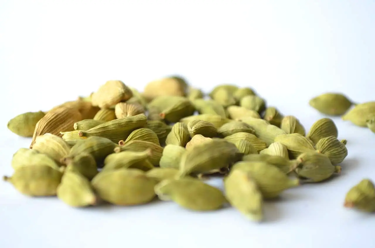 What is cardamom and how is it cared for?