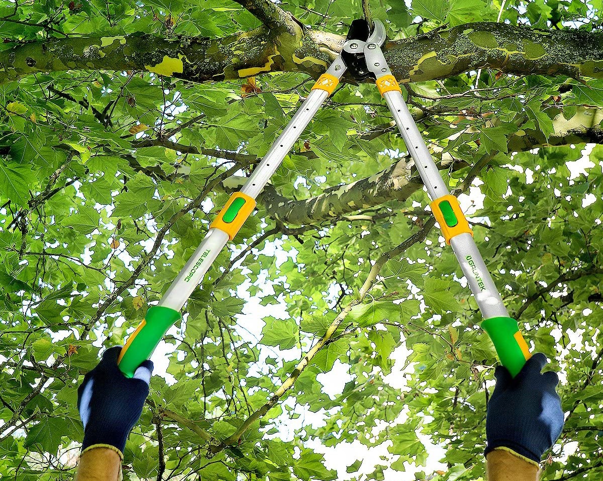 Telescopic Branch Cutter: The Best on the Market and Buying Guide