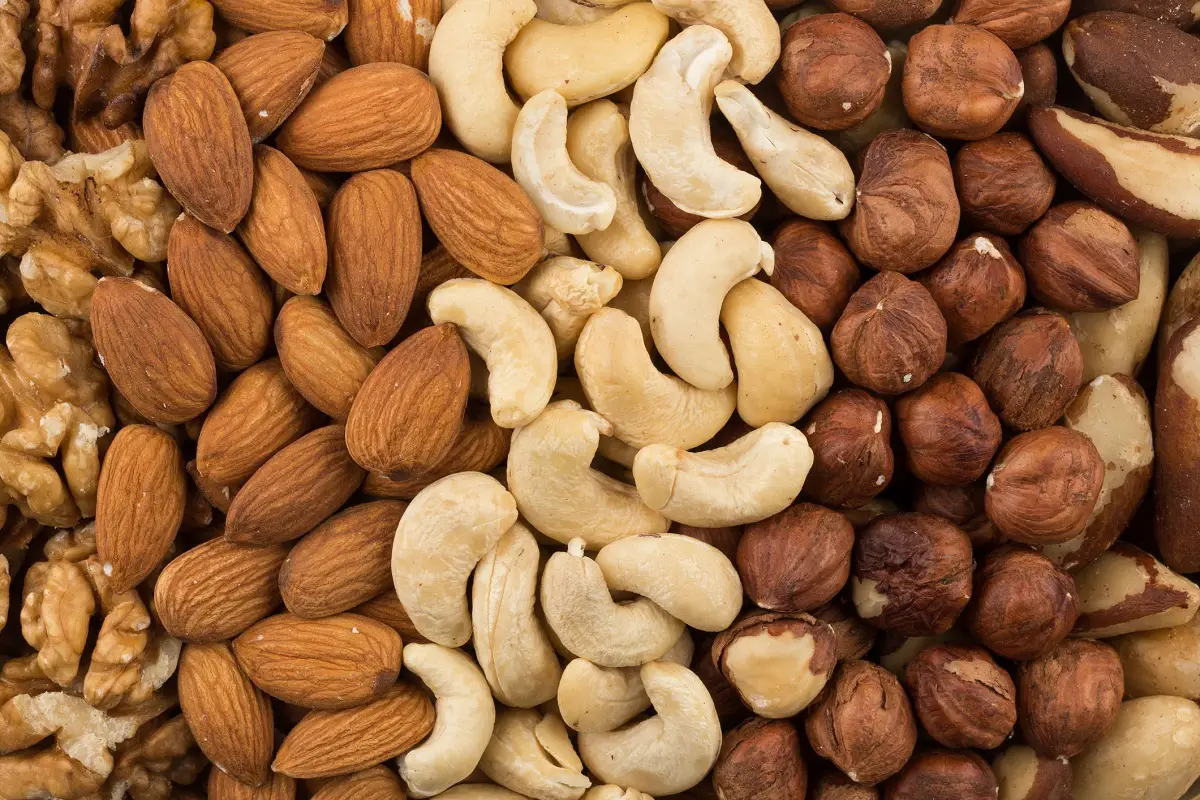 Types of nuts, characteristics and nutrients