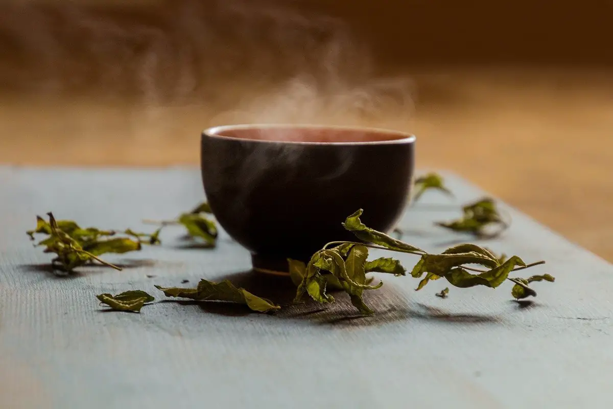 Catechins: What are they, their benefits in green tea and use against cancer