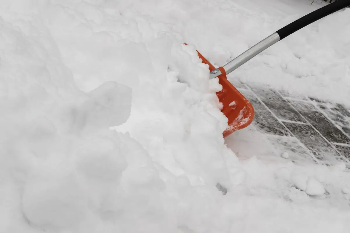 How to buy a snow shovel