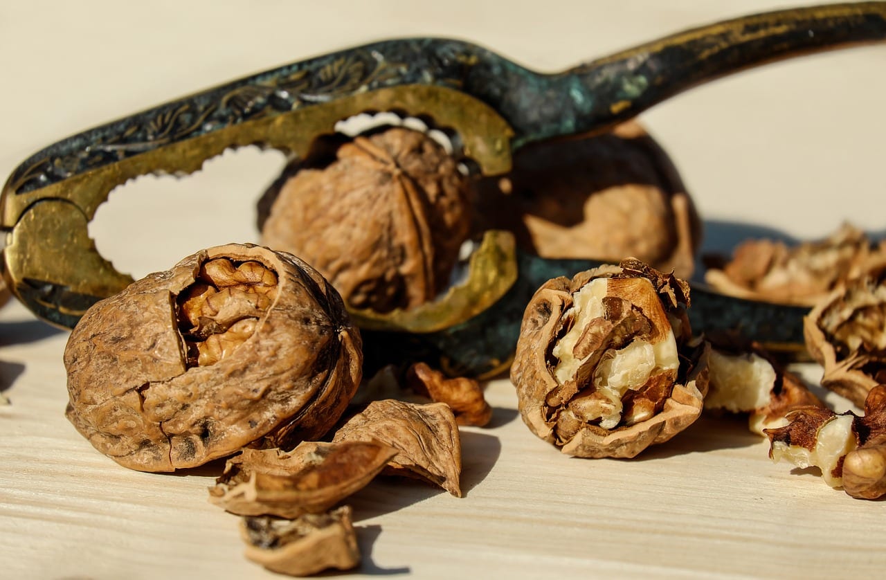 Benefits of using the walnut shell in the garden and garden