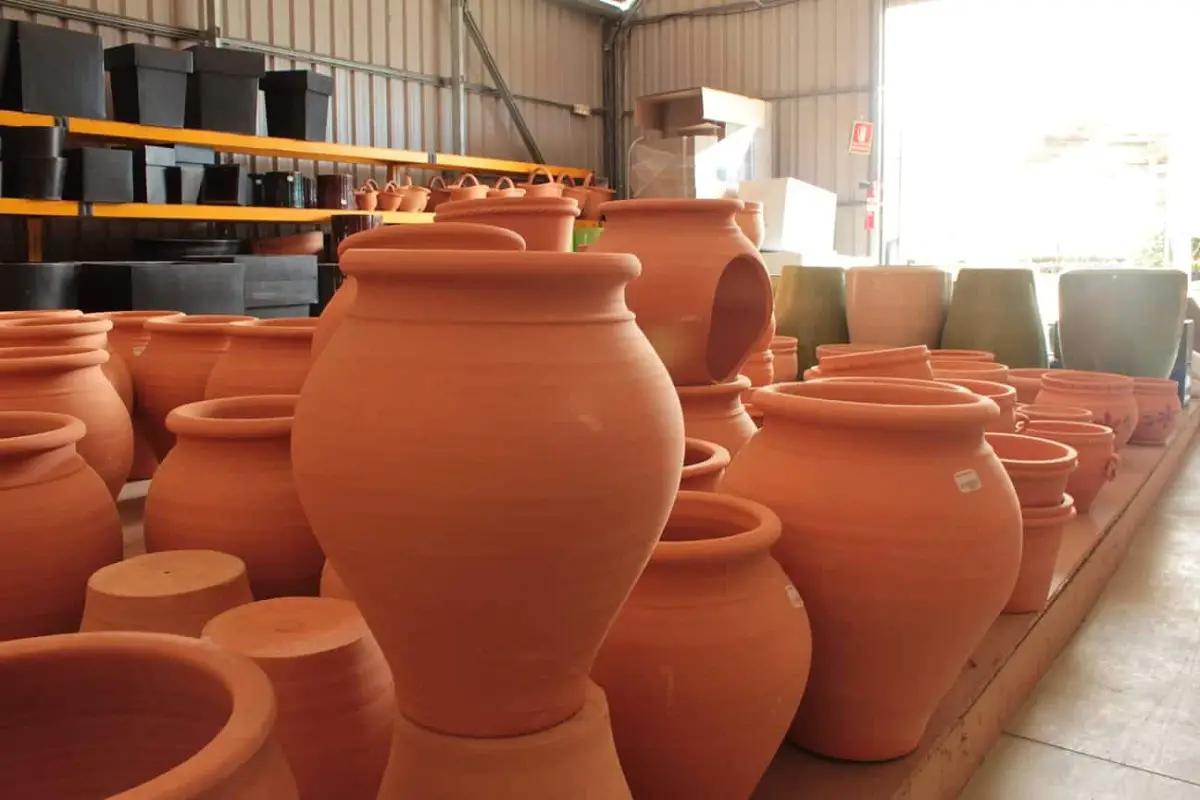Caring for clay pots: the best tips