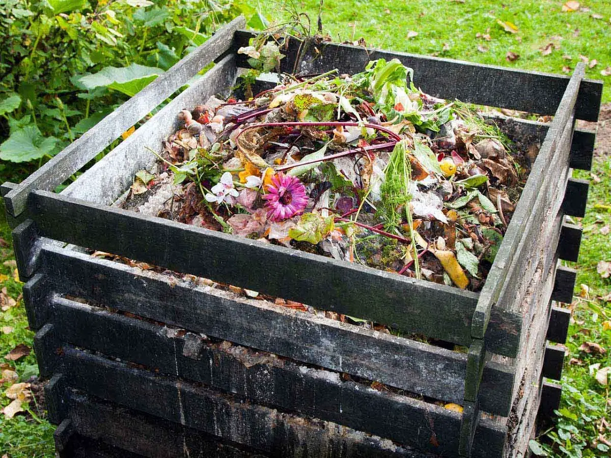 How to make homemade compost: step by step