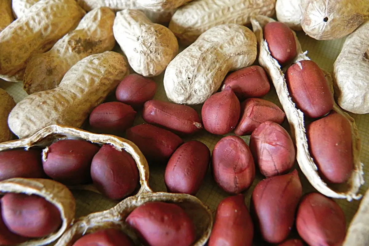 How To Plant Peanuts: The Best Tips And Tricks