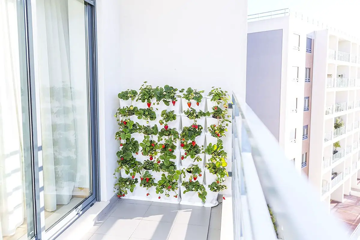 Buying guide for a vertical garden