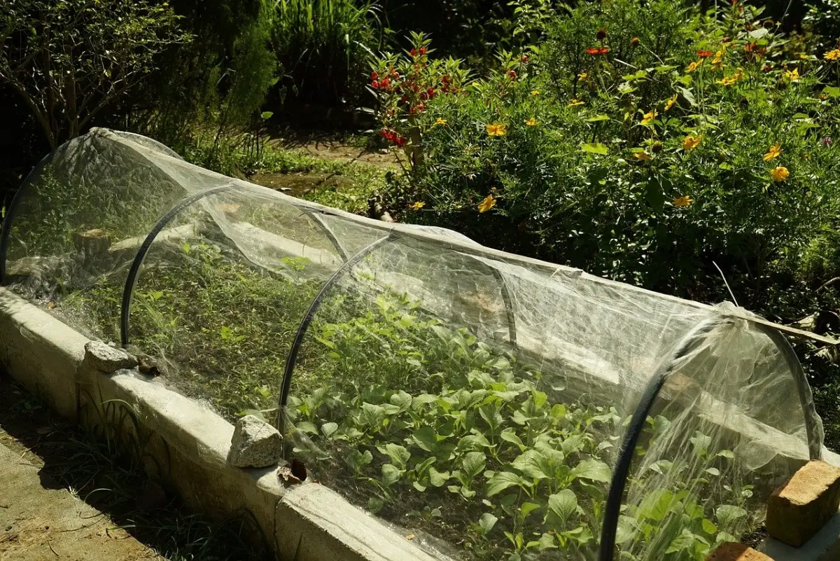 How to make a mini greenhouse