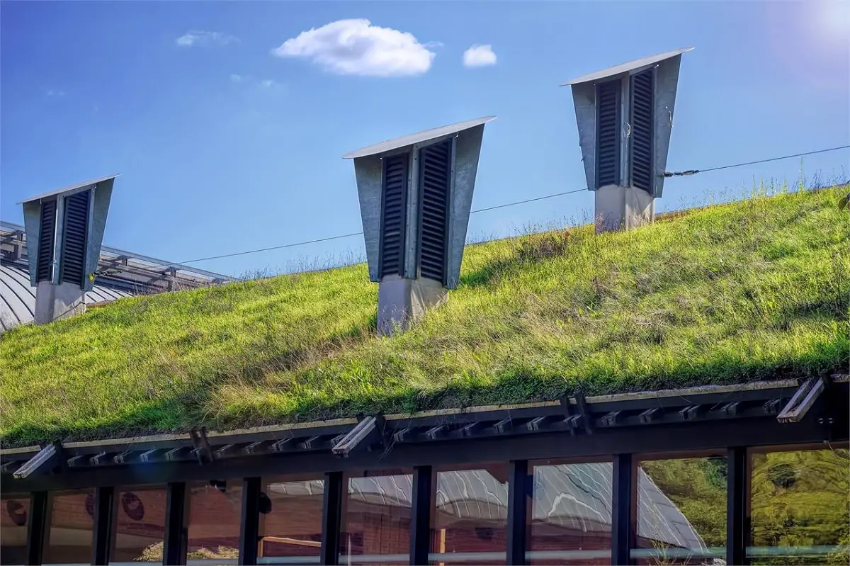 What is a green roof? Features and benefits