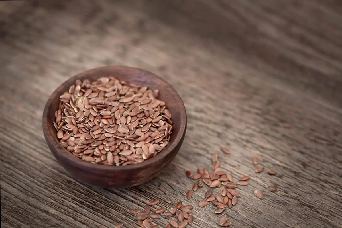 When and how to sow flax seeds?  All the steps to take