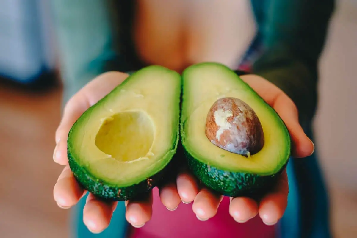 Avocado, what is it, fruit or vegetable?