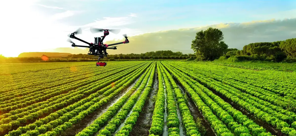 Precision agriculture: what it is, characteristics and technology