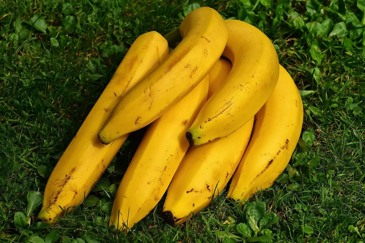Banana story