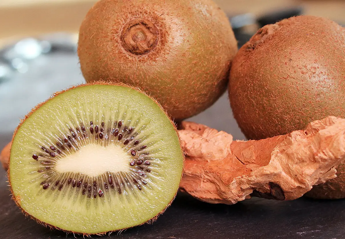 Kiwi varieties: The most popular in the world and in Spain