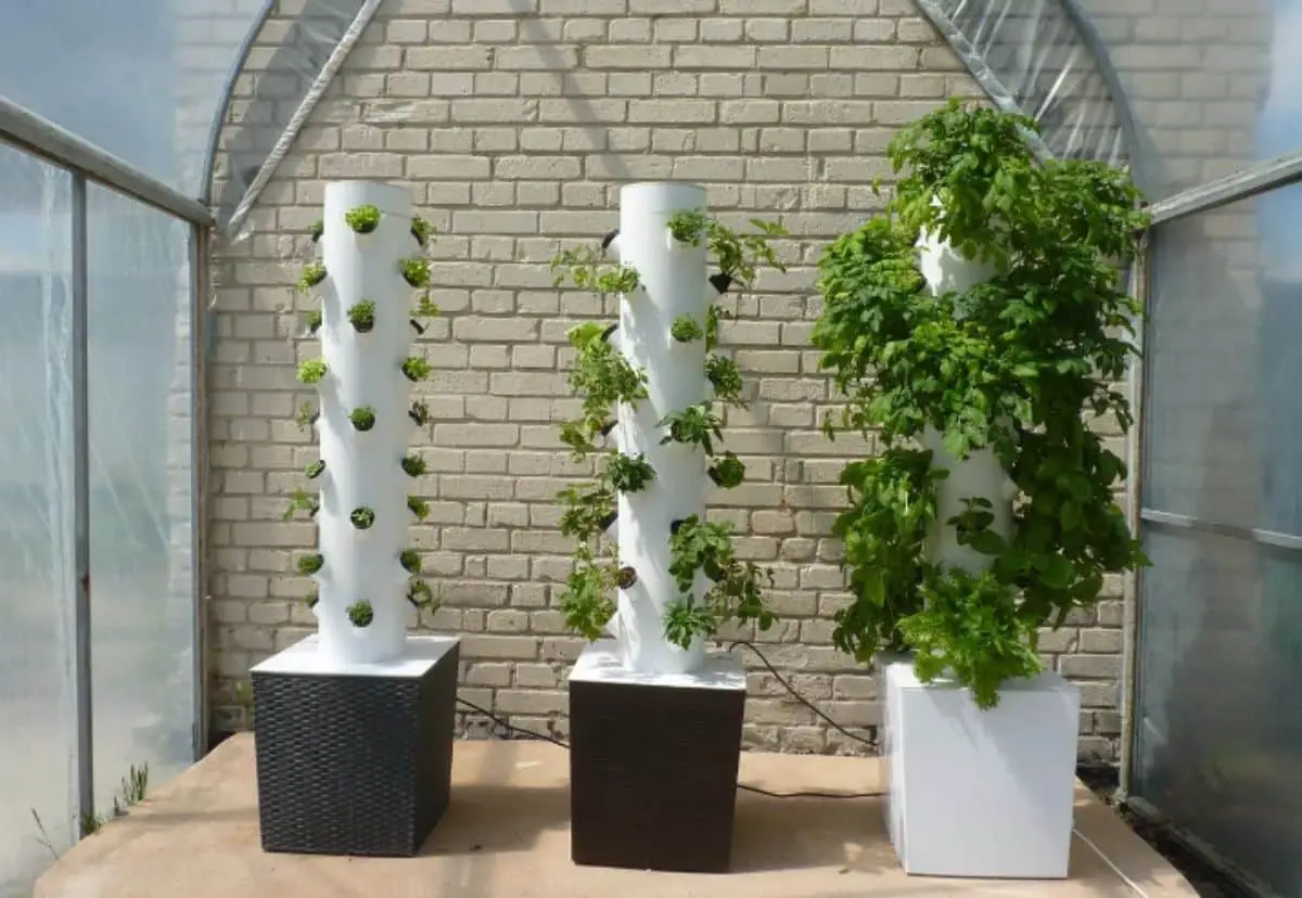 Aeroponic cultivation: what it is, characteristics and how to do it at home