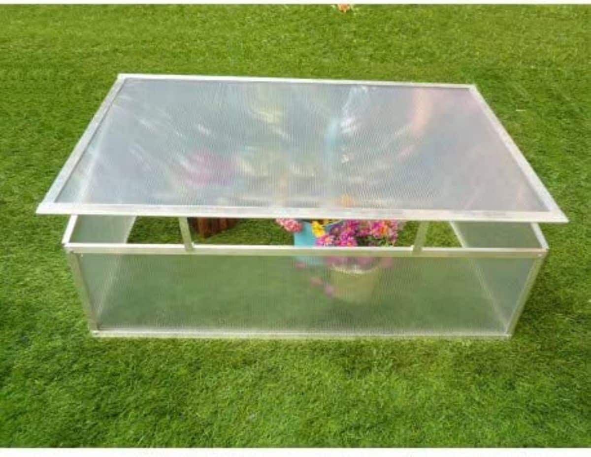 How to buy a polycarbonate greenhouse