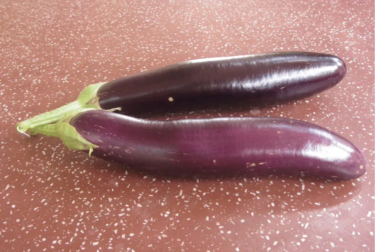 Chinese eggplant: characteristics and tips for growing it