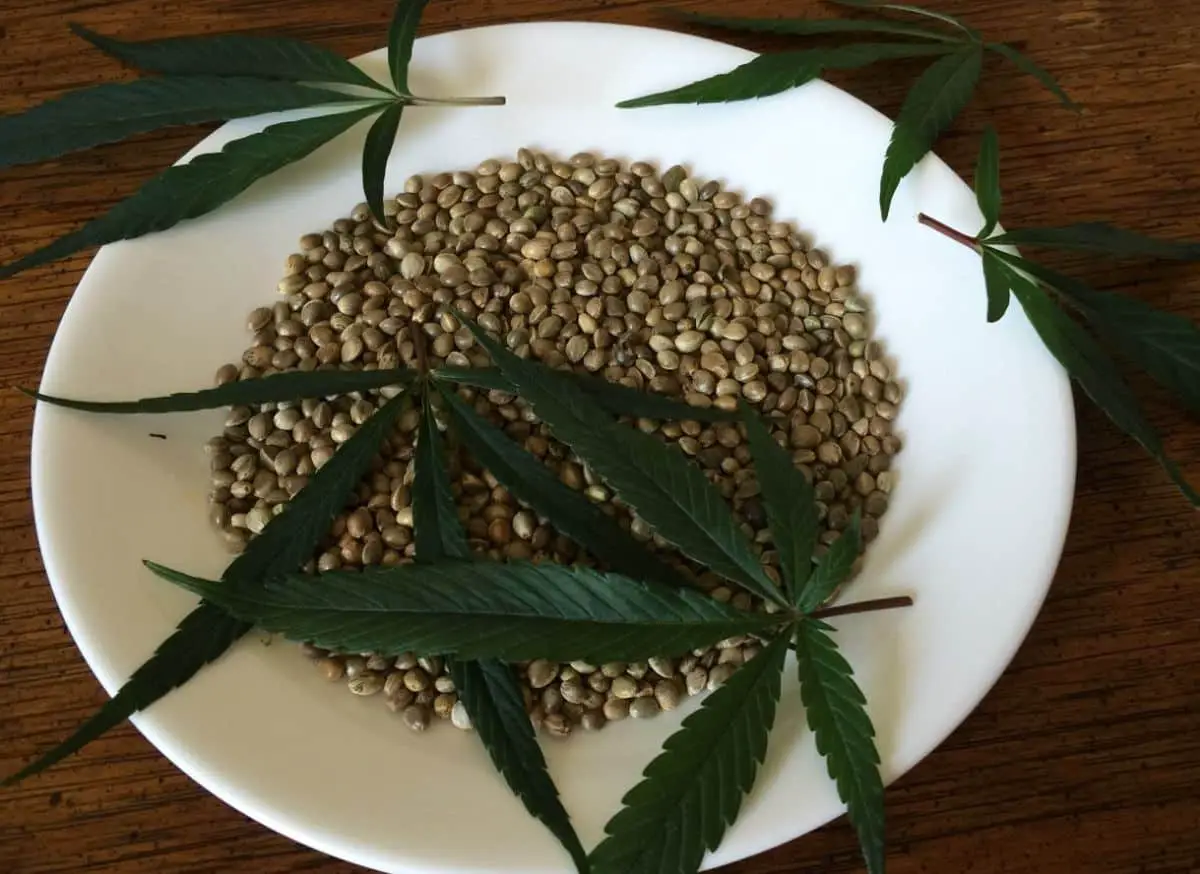 Where to buy marijuana seeds
