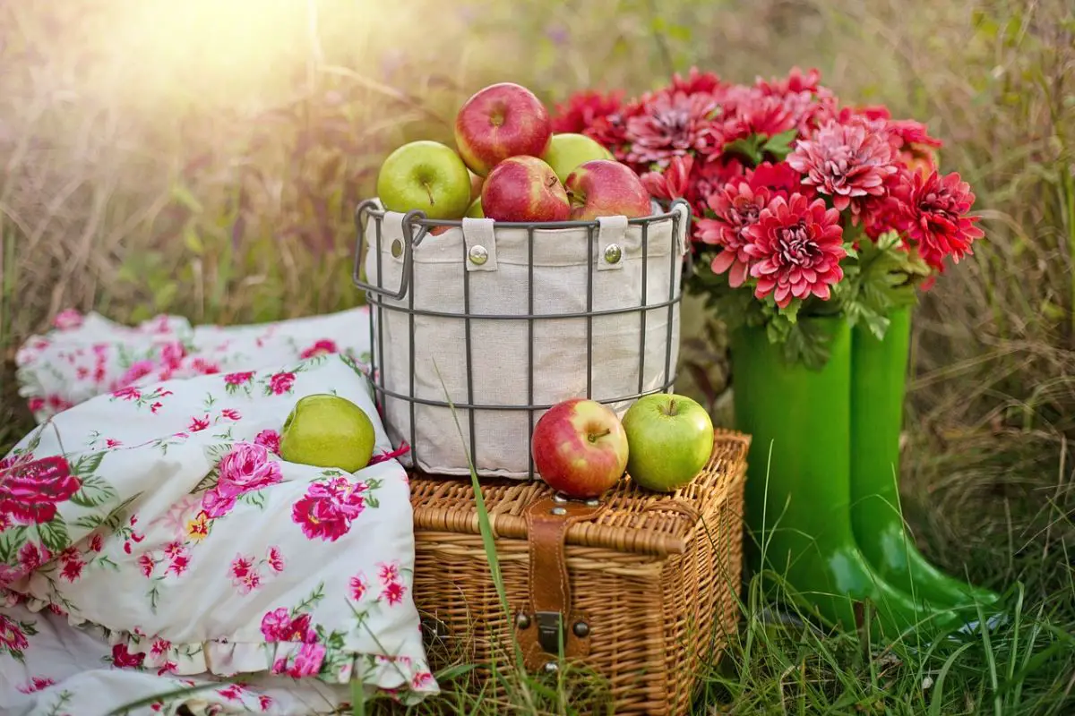 How to buy a picnic basket that really works for you