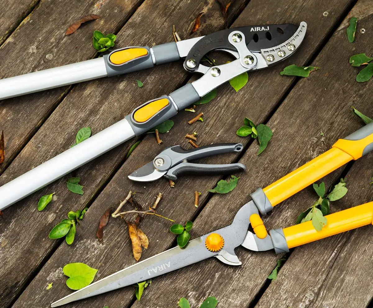 How To Buy Pruning Tools