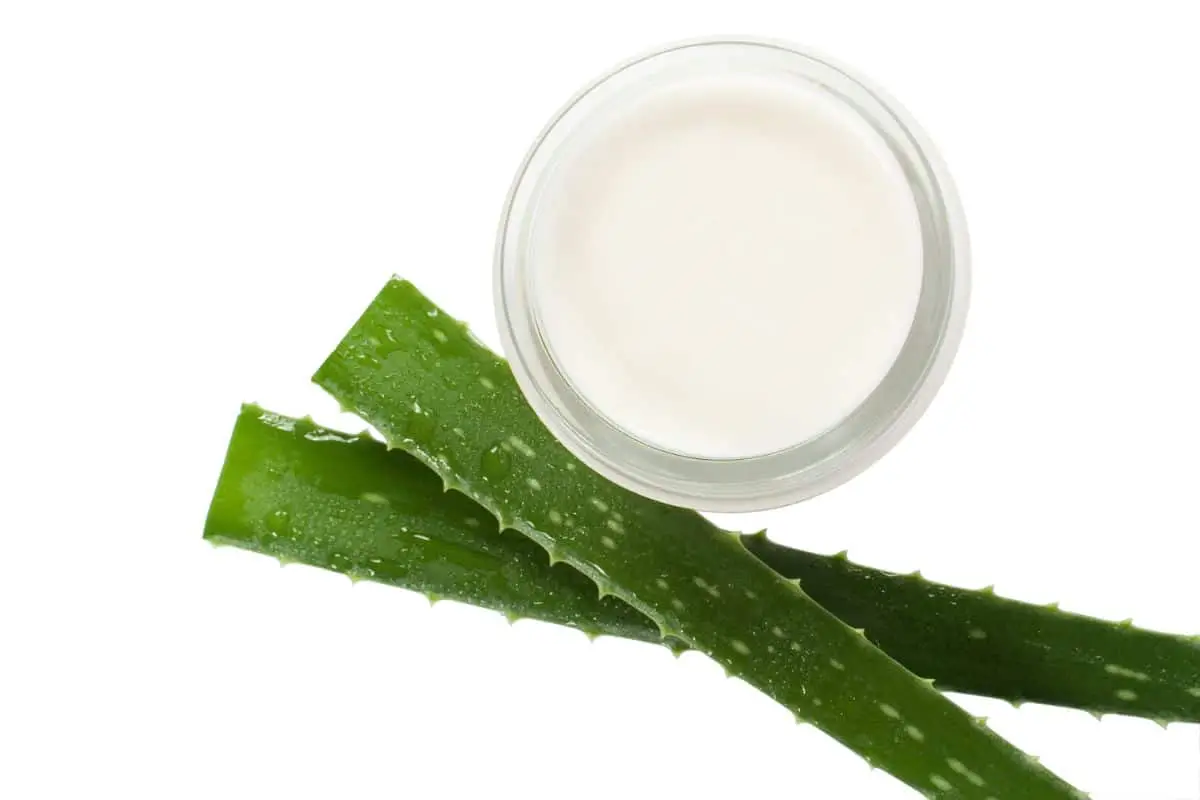 How to make a sunscreen with aloe vera step by step