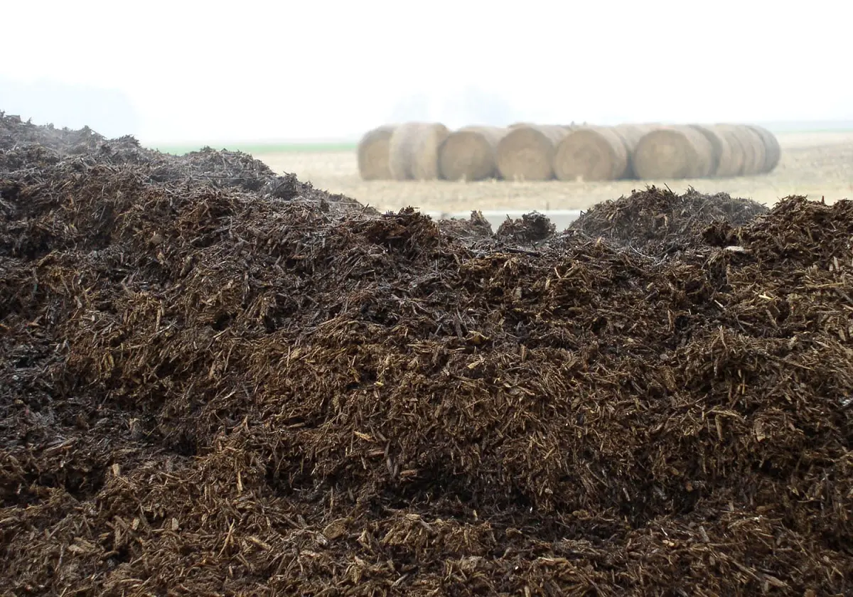 When should you put manure in the garden