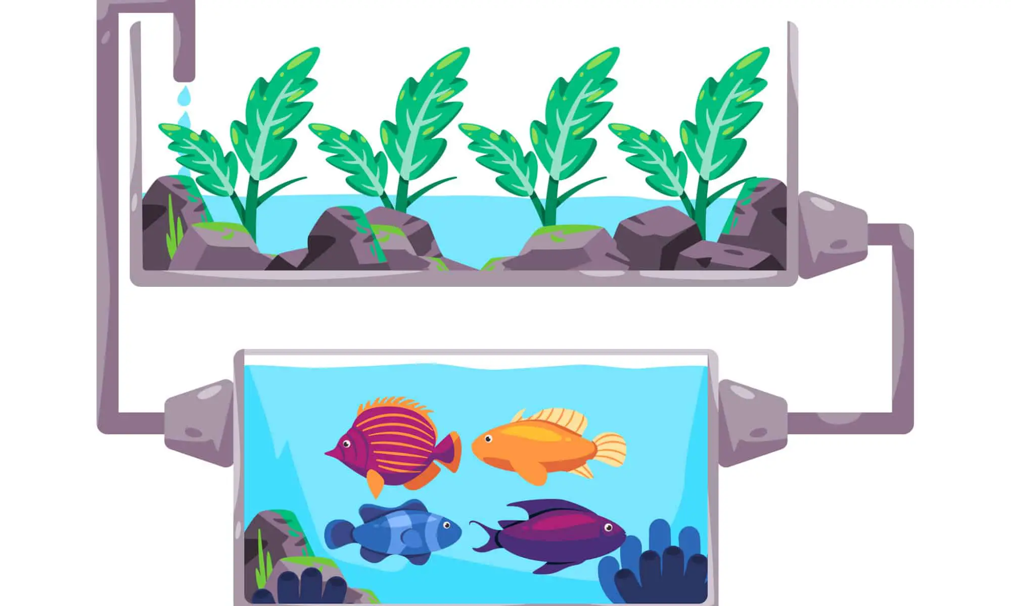 Grow Fresh, Organic Food Anywhere with Your Own Aquaponics System!